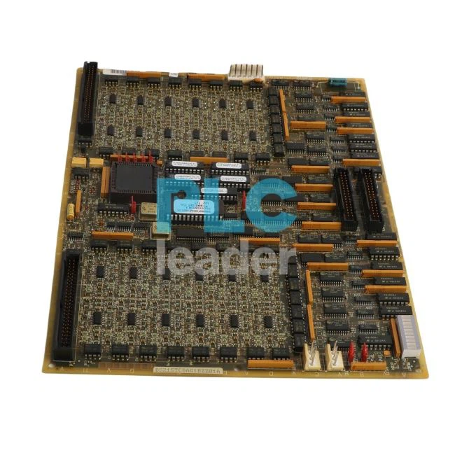 DS215TCDAG1BZZ01A new